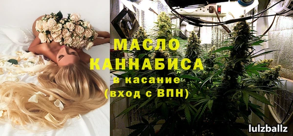 молекула духа Инсар