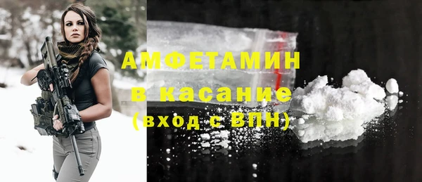 молекула духа Инсар
