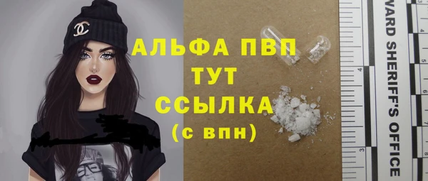 твердый Иннополис