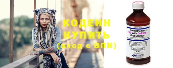 твердый Иннополис
