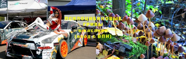 дмт Каменка