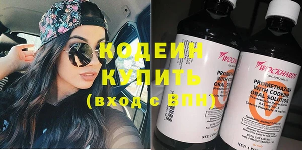 дмт Каменка