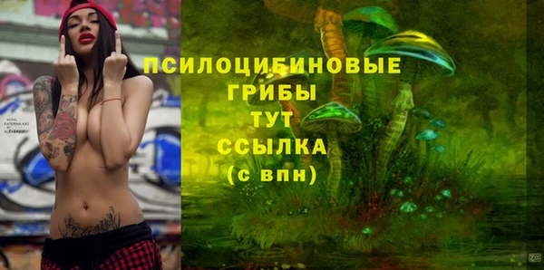 твердый Иннополис