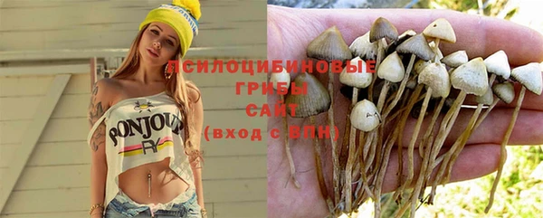 дурь Каменногорск
