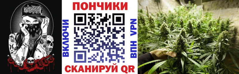 Купить  Новоалтайск  Бошки Шишки план 